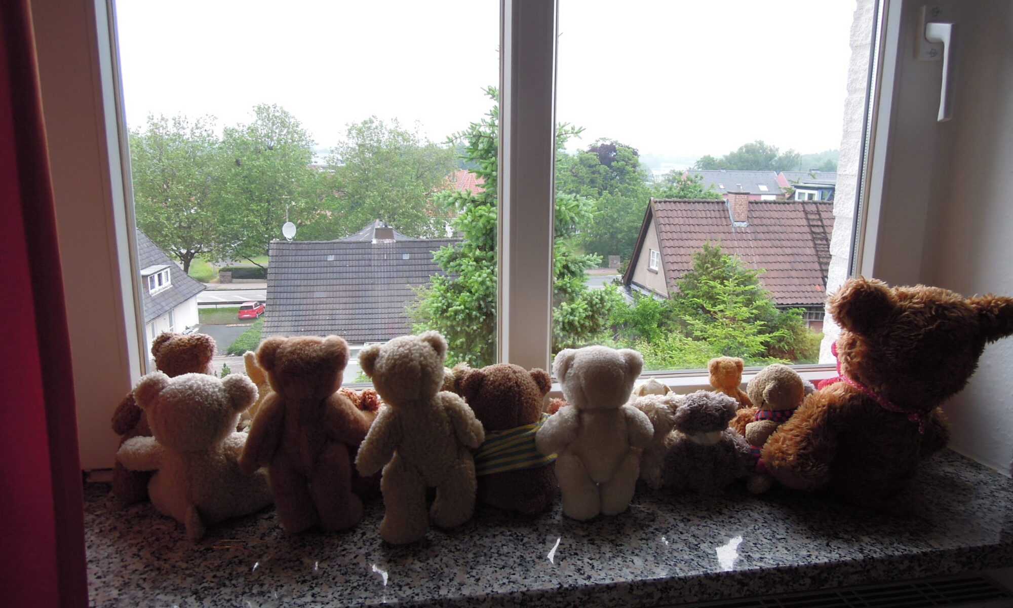 Teddys-am-Fenster